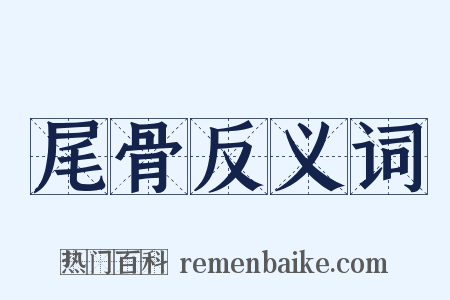 尾骨反义词是什么意思的图片